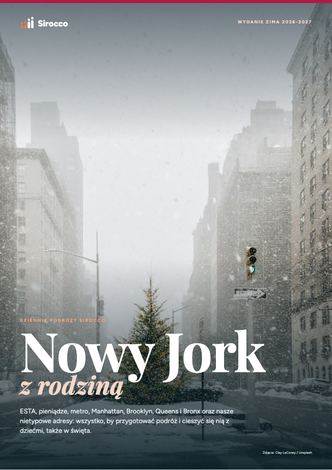 Strony przewodnika Nowy Jork z rodziną
